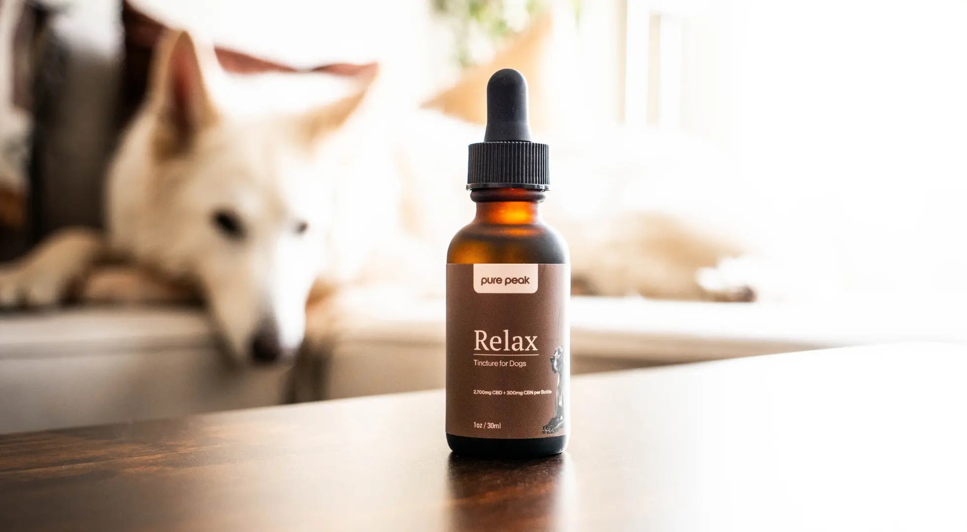 Are Herbal Supplements Safe for Your Dog_ Info Featured Image