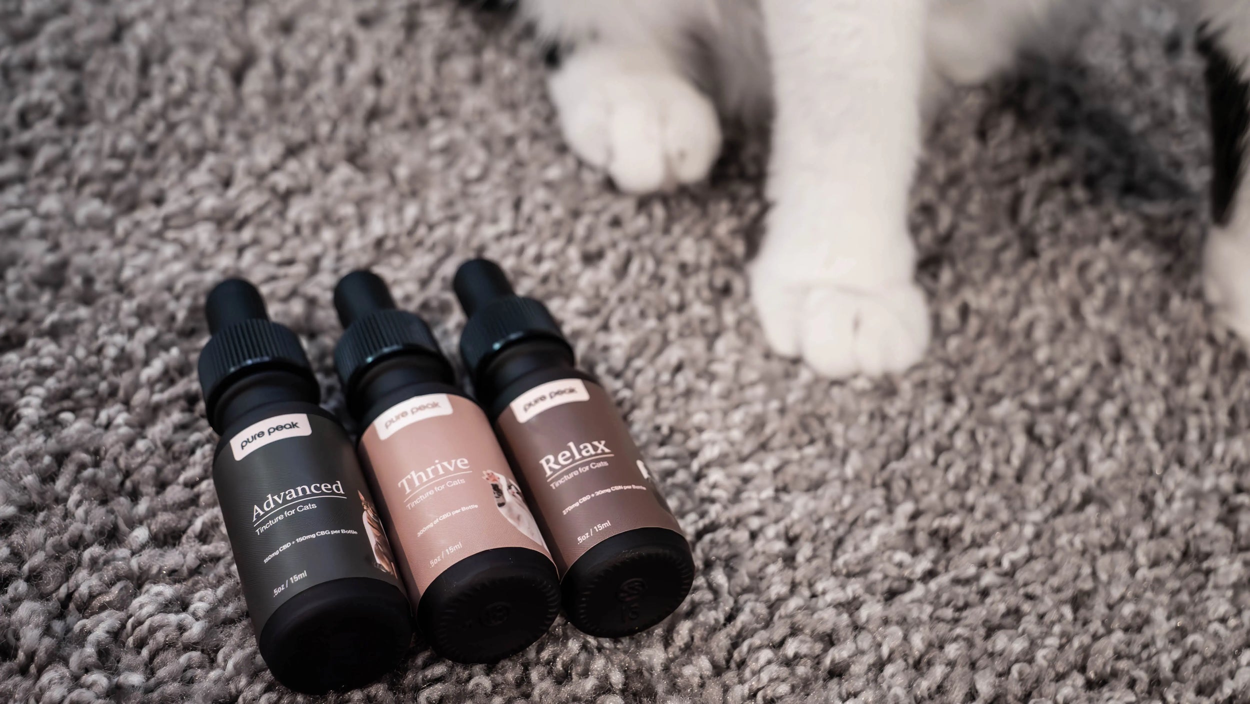 Pure Peak Stories: The Transformation of Max and Ocho