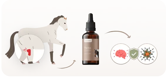 How does Thrive work?