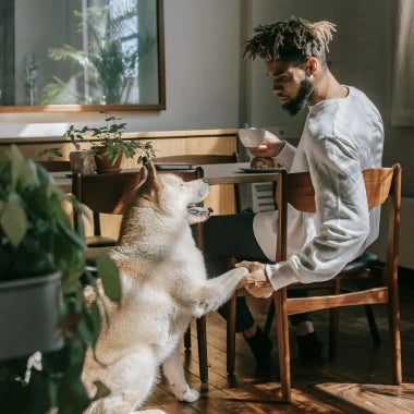 Easily Integrate Pure Peak into Your Pet’s Daily Life