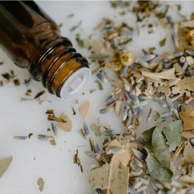 Easily Integrate Pure Peak into Your Pet’s Daily Life