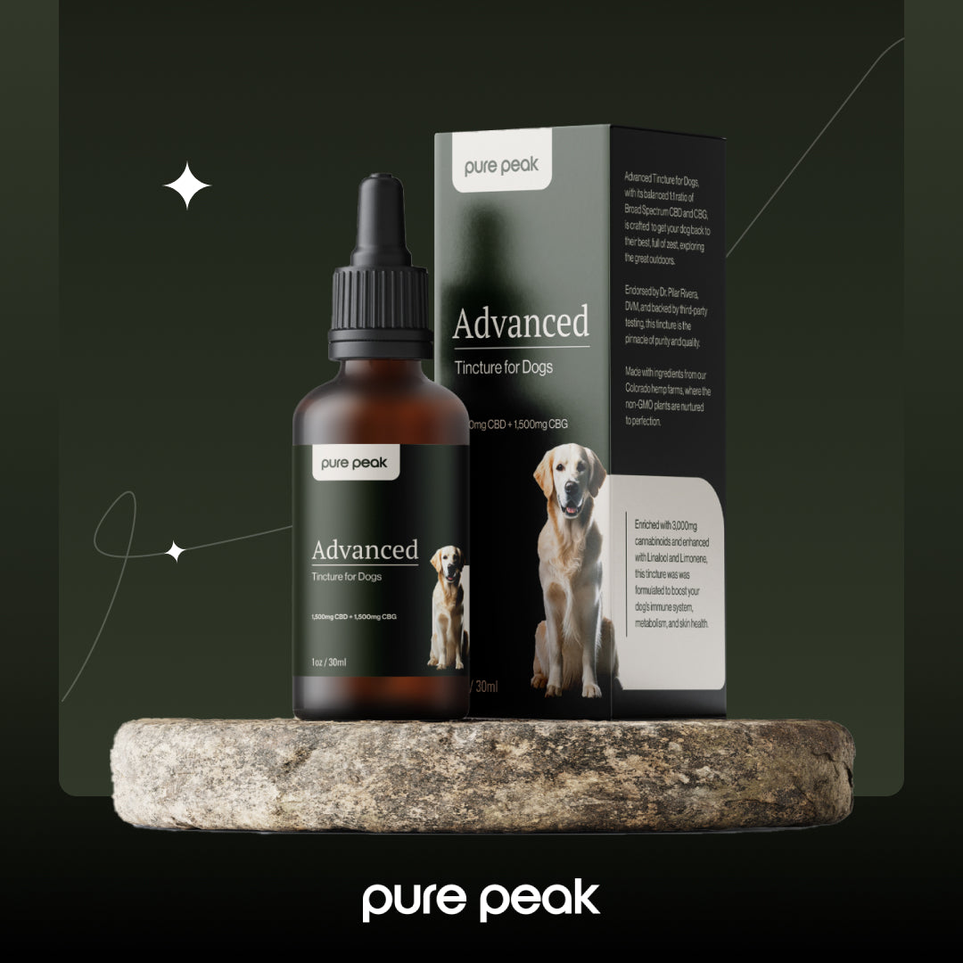 Advanced CBD Tincture for Dogs