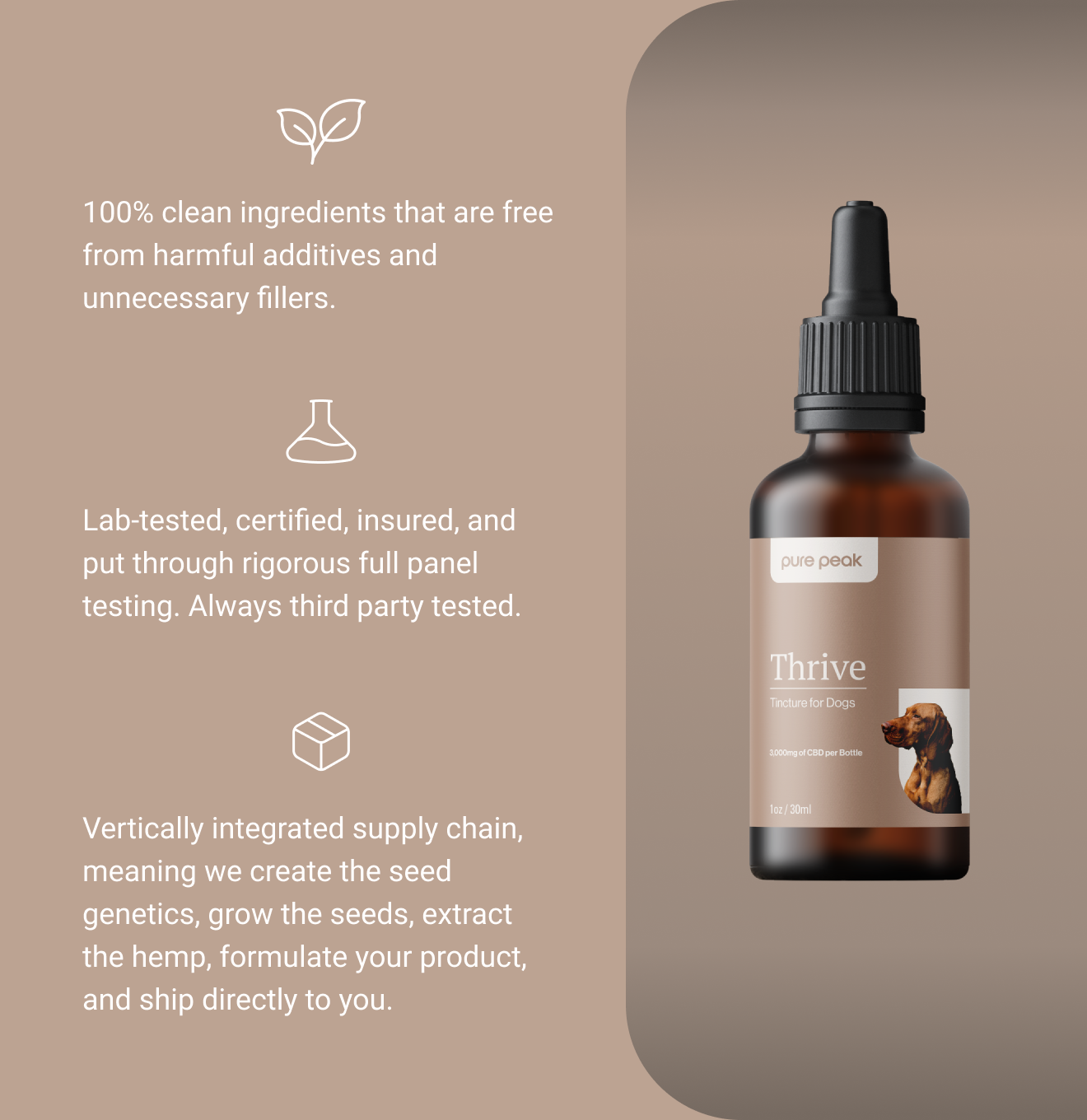 Thrive CBD Tincture for Dogs