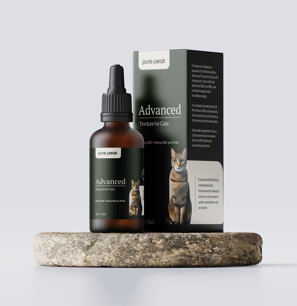 Advanced CBD Tincture for Cats