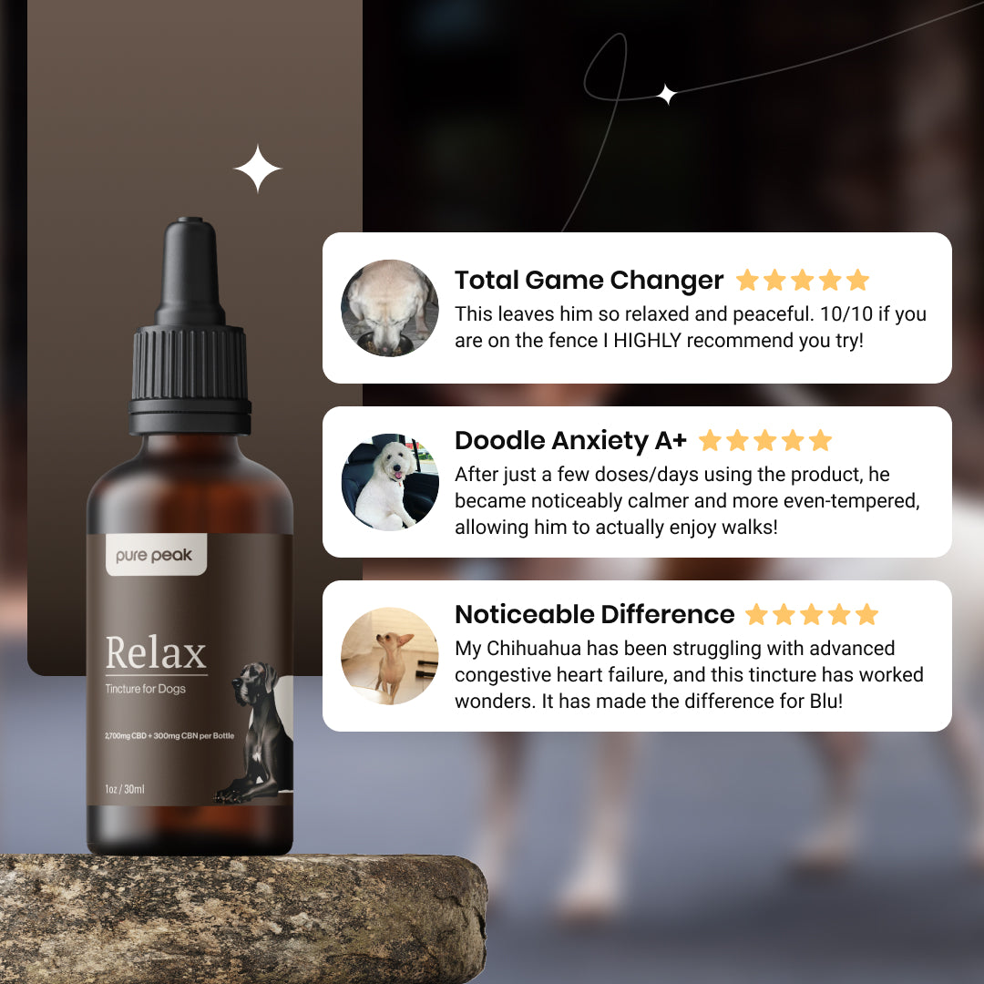 Relax CBD Tincture for Dogs