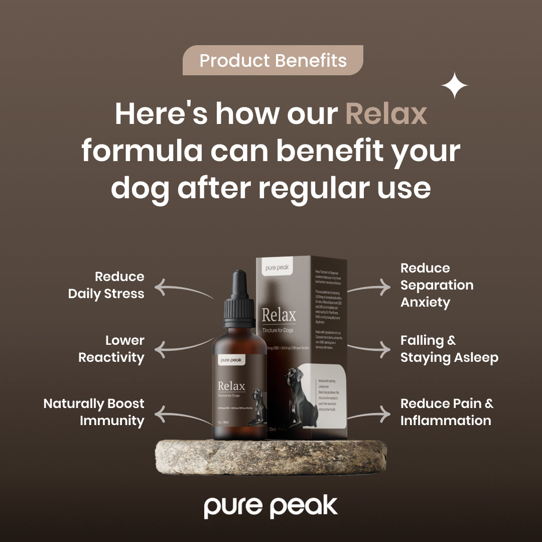 Relax CBD Tincture for Dogs