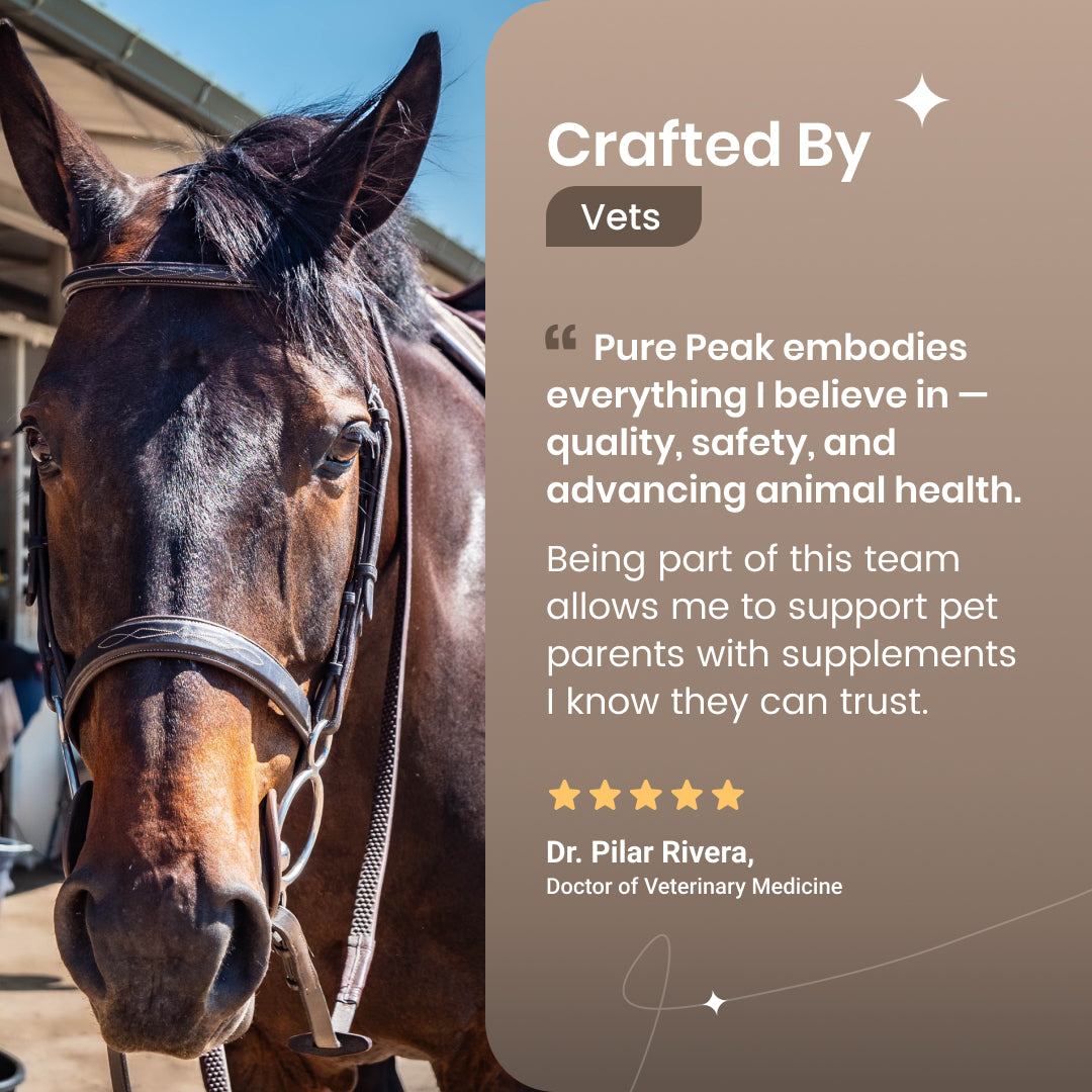 Thrive CBD for Horses