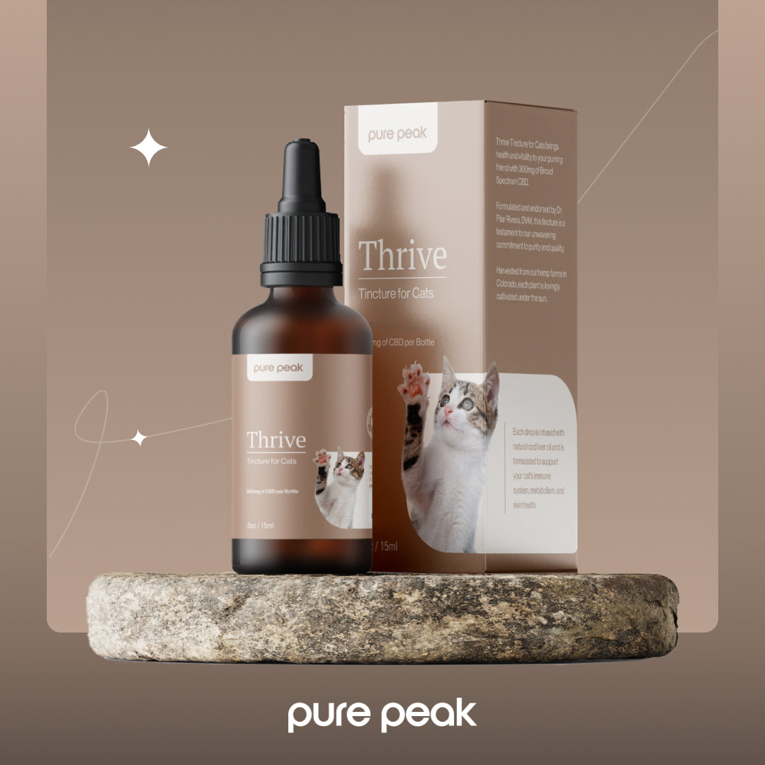 Thrive CBD Tincture for Cats