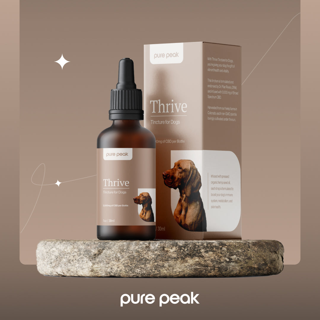 Thrive CBD Tincture for Dogs