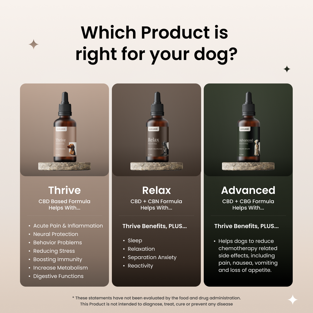 Thrive CBD Tincture for Dogs